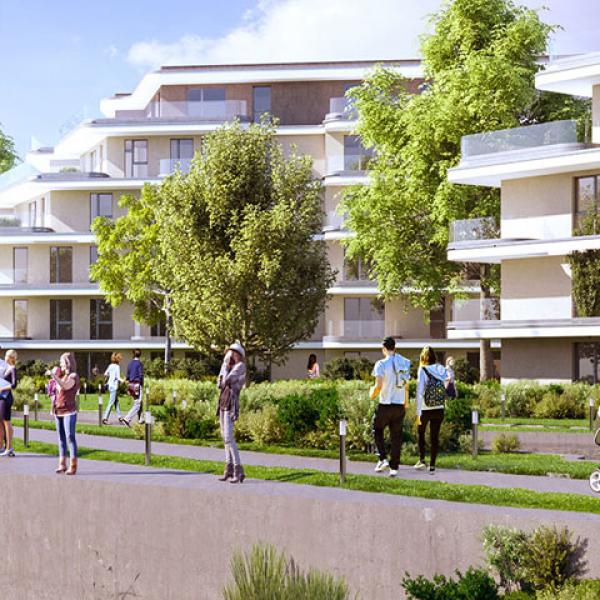 HOSSZÚ TÁVÚ BÉRBEADÁS - BUDAPEST